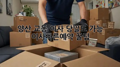 🚀 양산 교동 이사, 당일도 가능? #이사_빠른예약 꿀팁🍯