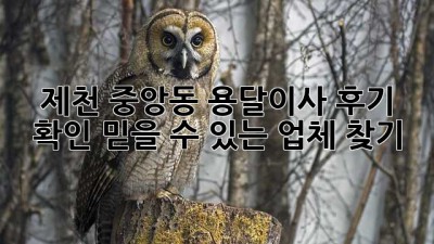 제천 중앙동 용달이사 후기 확인: 믿을 수 있는 업체 찾기
